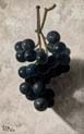 hanging grapes